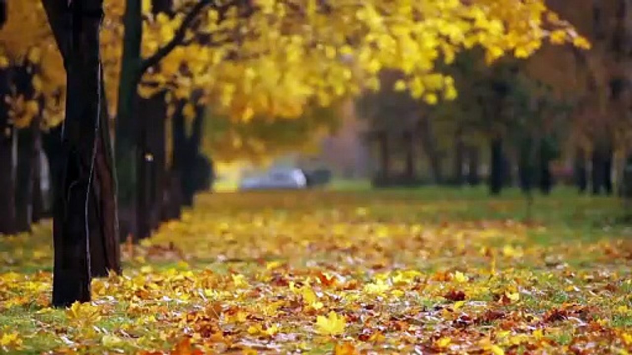 Day30 - 30 Days New You Challenge Malayalam