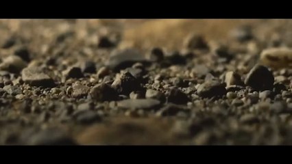 Kogis, ensemble pour soigner la Terre Bande-annonce VF