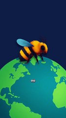 Les supers pouvoir cachés du bourdon ! #bourdon #insecte #animaux #nature #humour
