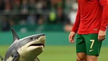 Cristiano Ronaldo vs Shark: The Ultimate Transformation! 🦈⚽