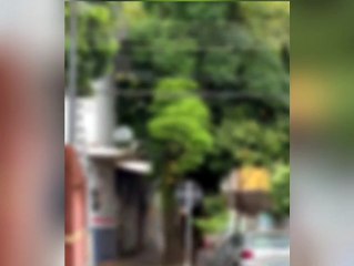 Homem é flagrado correndo pelado pelas ruas de Maringá