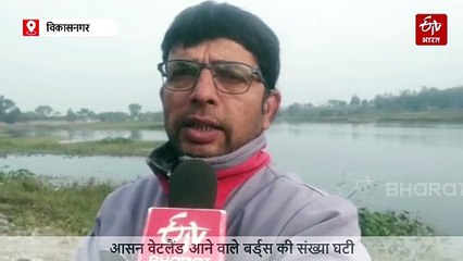 क्या रूस-यूक्रेन युद्ध में प्रवासी पक्षी भी गंवा रहे जान? आसन वेटलैंड आने वाले बर्ड्स की संख्या घटी