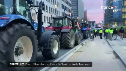Colère agricole: Incidents en cours devant le Parlement européen à Bruxelles - L'accord avec le Mercosur "ne peut pas être signé" (Emmanuel Macron)