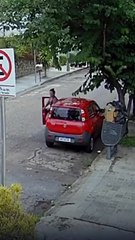 Câmera flagra mulher abandonando filhotes de cachorro ao lado de lixeira