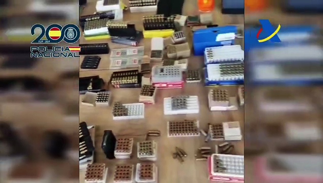 Red de fraude del IVA en hidrocarburos