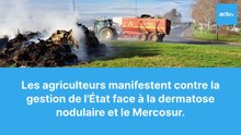Dermatose nodulaire, Mercosur : les agriculteurs en colère à La Ferté-Bernard