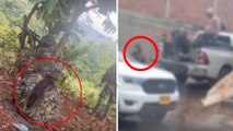 Videos revelan que menores sí habrían participado en el cruel ataque en Buenos Aires, Cauca