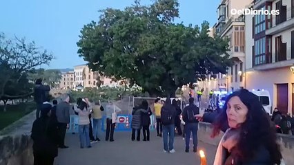 Los vecinos de Palma se movilizan contra la tala de árboles icónicos de la ciudad