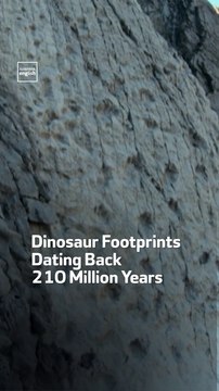 Dinosaur Footprints Dating Back 210 Million Years