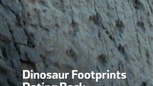 Dinosaur Footprints Dating Back  210 Million Years
