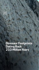 Dinosaur Footprints Dating Back  210 Million Years