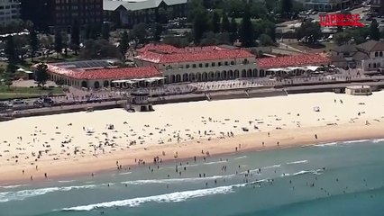 Australia, Bondi Beach riapre al pubblico dopo la strage