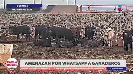 Grupos criminales extorsionan vía WhatsApp a ganaderos de Durango | DPC con Paola Rojas