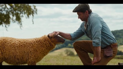 Las ovejas detectives - Tráiler oficial español