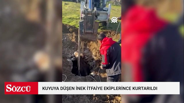 Kuyuya düşen inek itfaiye ekiplerince kurtarıldı