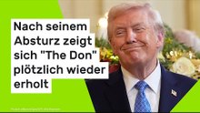 Donald Trump: Nach seinem Absturz zeigt sich "The Don" plötzlich wieder erholt
