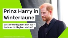 Prinz Harry in Winterlaune: Sussex-Herzog tobt sich aus - doch wo ist Meghan Markle?