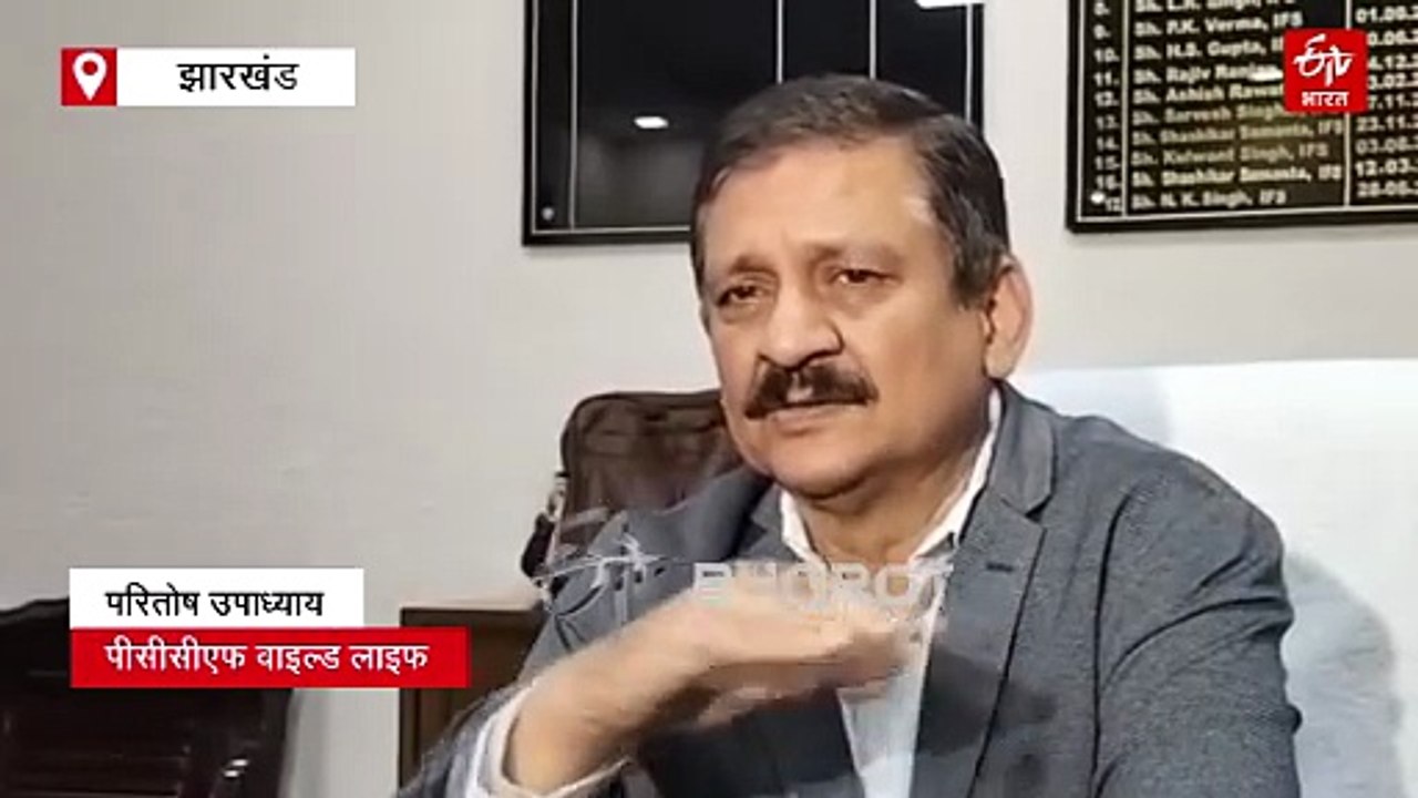 झारखंड में इंसान और हाथियों के बीच संघर्ष बड़ा बना खतरा, 18 वर्षों में 1270 लोगों की चली गई जान