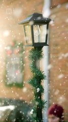 وجدتُ زوجًا مليارديرًا مشردًا لعيد الميلاد[ مدبلج ]