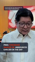 Sarah Discaya arrested over P96-M ghost project in Davao Occidental