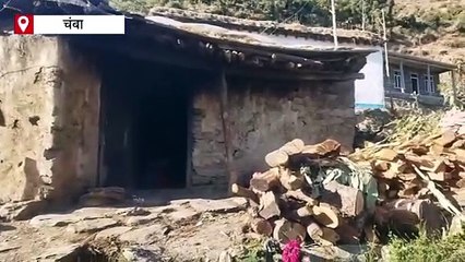 पिता की मौत के बाद मां ने कर ली दूसरी शादी, जर्जर गौशाला में पशुओं के साथ रहने को मजबूर 'अनाथ' बच्चे