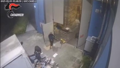 Banda dei profumi di lusso, 7 arresti per furti in deposito e Tir (18.12.25)