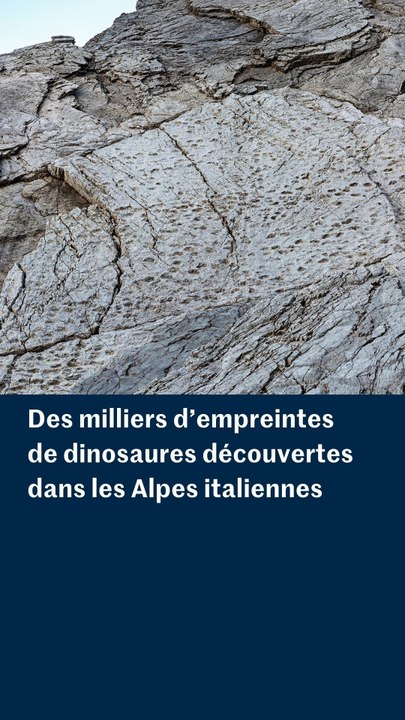 Des milliers d’empreintes de dinosaures découvertes dans les Alpes italiennes