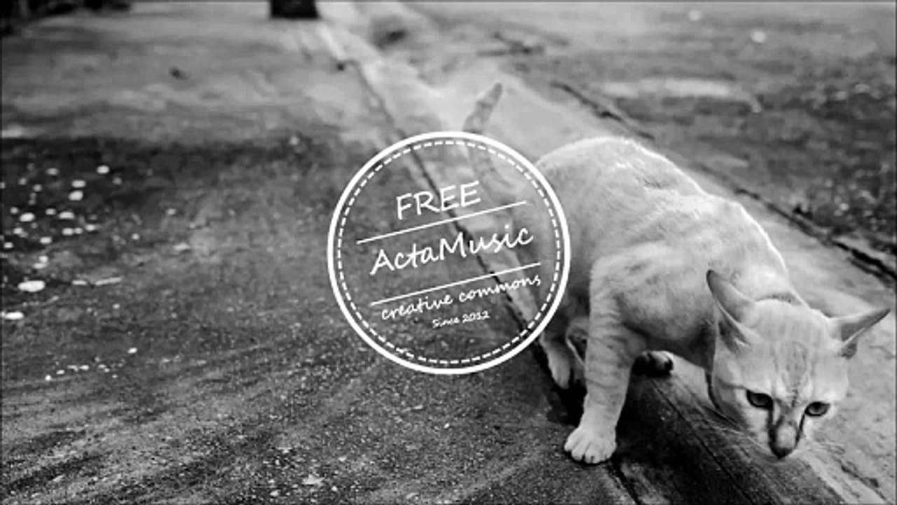 _MMusique _ Meizong - No Comments . Musique Instrumentale – Instrumental Music Tous Genres | Rock, Pop, Jazz, Relax, Cinematic