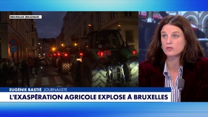 Eugénie Bastié : «Les agriculteurs n'ont pas les mêmes intérêts que les industriels allemands»