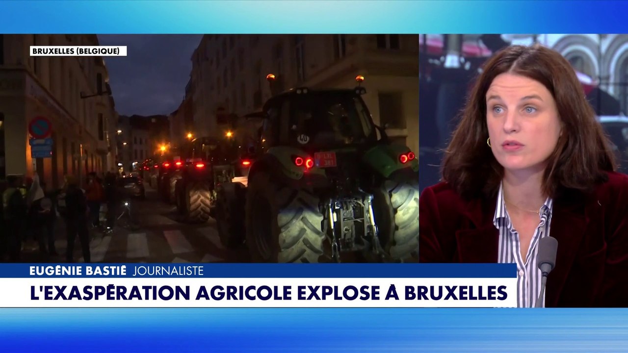 Eugénie Bastié : «Les agriculteurs n'ont pas les mêmes intérêts que les industriels allemands»
