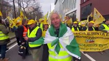 Agricultores protestan en Bruselas contra el acuerdo UE-Mercosur y los posibles recortes en PAC