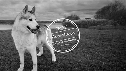 Musique _ Oskar Hill & Meizong - The Sound Of Summer.  Musique Instrumentale – Instrumental Music Tous Genres | Rock, Pop, Jazz, Relax, Cinematic