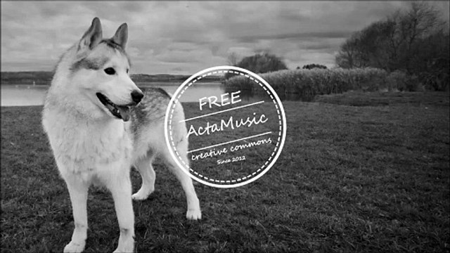 Musique _ Oskar Hill & Meizong - The Sound Of Summer. Musique Instrumentale – Instrumental Music Tous Genres | Rock, Pop, Jazz, Relax, Cinematic