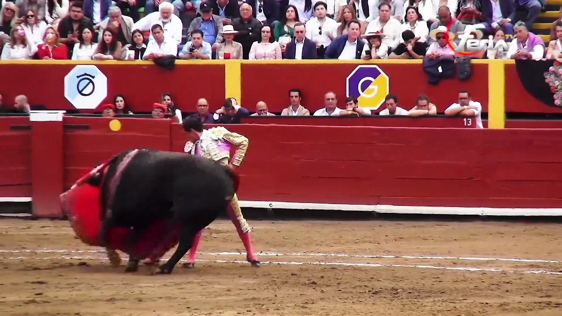 Eduardo Ruiz de Velasco, novillero burgalés que representaba a Castilla y León la pasada semana en la final de la Liga Nacional Novilladas de la Fundación Toro de Lidia