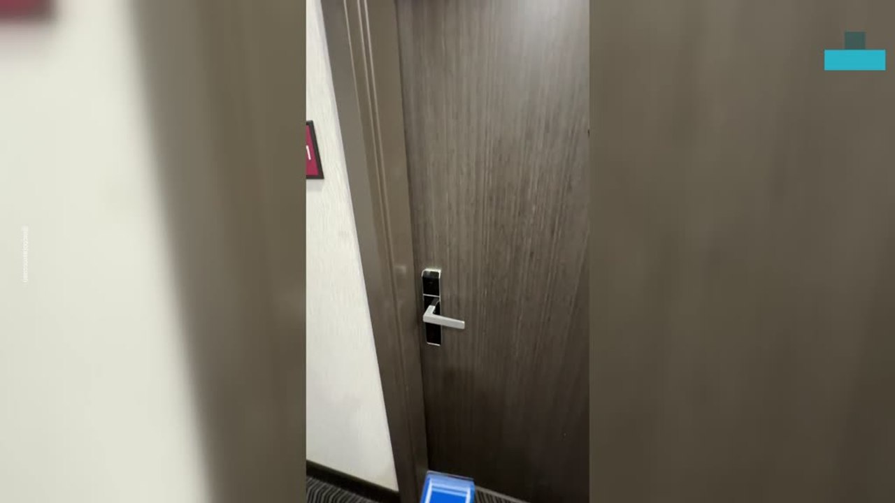 Dog Destroys Hotel Room