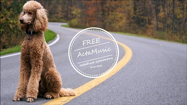 _MusiqMusique _ DOCTOR VOX - Gold . Musique Instrumentale – Instrumental Music Tous Genres | Rock, Pop, Jazz, Relax, Cinematic