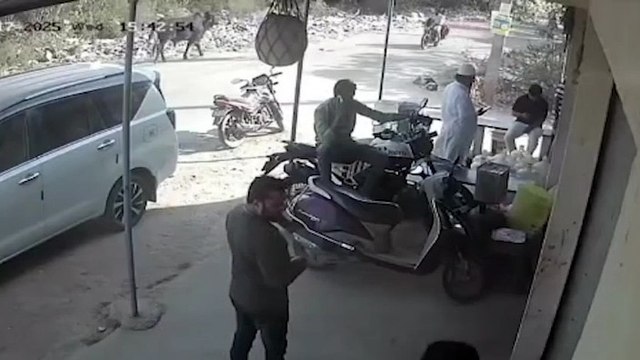 Video: 77-year-old man killed as stray bull tosses him on Bengaluru road