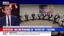 Accord UE-Mercosur: Sandro Gozi, député européen Renew Europe, demande “un report pour convaincre nos partenaires d’Amérique latine d’accepter les clauses de sauvegarde”