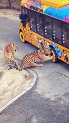 #funny video #shortvideo #viralvideo #funnyadda#