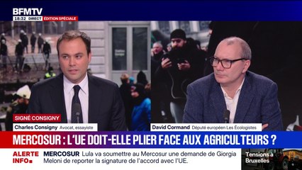SIGNÉ CONSIGNY - "L’Europe est en train de plier face aux agriculteurs par la voix de Giorgia Meloni”, estime Charles Consigny, avocat et essayiste