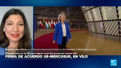 ¿Qué explica las reticencias europeas al acuerdo UE-Mercosur?
