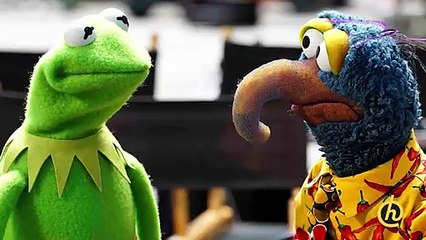 First Look Friday – Muppets, Hateful Eight, Suicide Squad