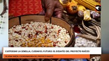 Custodiar la semilla, cuidar el futuro el desafío del Proyecto Raíces