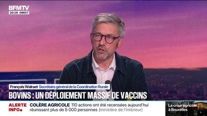 François Walraet de la Coordination rurale estime que les rendez-vous avec les syndicats agricoles sont "la dernière chance de Sébastien Lecornu"