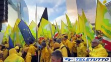 Video News - Bruxelles, agricoltori in protesta