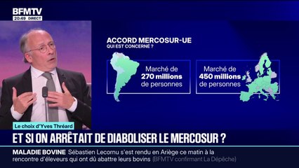 LE CHOIX D’YVES THRÉARD -  Et si on arrêtait de diaboliser l’accord UE-Mercosur