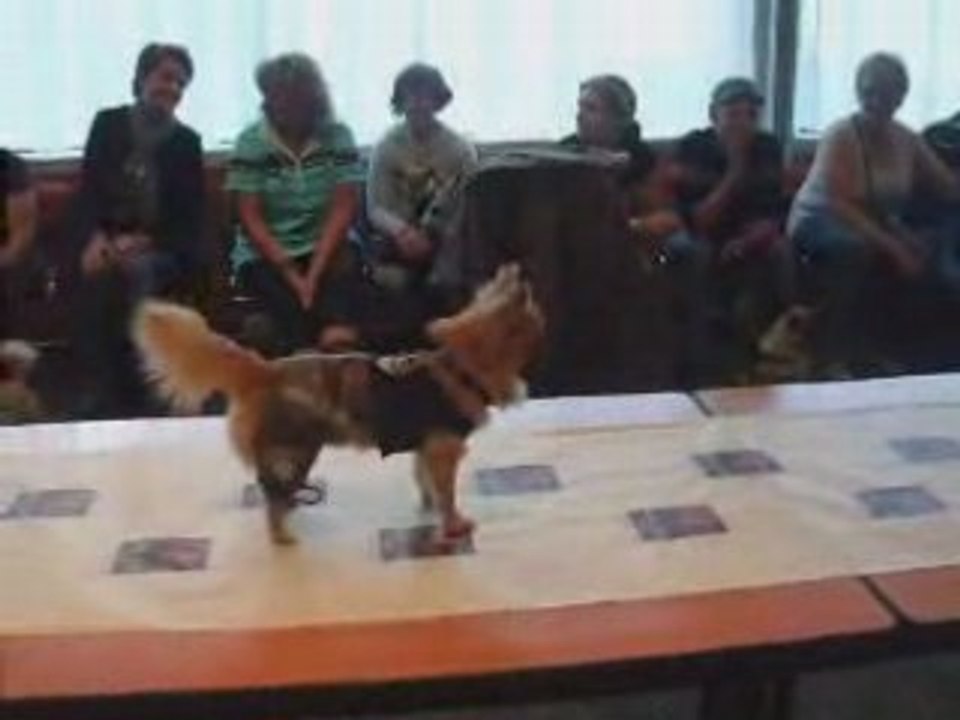 250508 Défilé Forest lentement mais sûrement