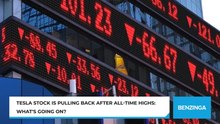 Tesla Shares Pull Back