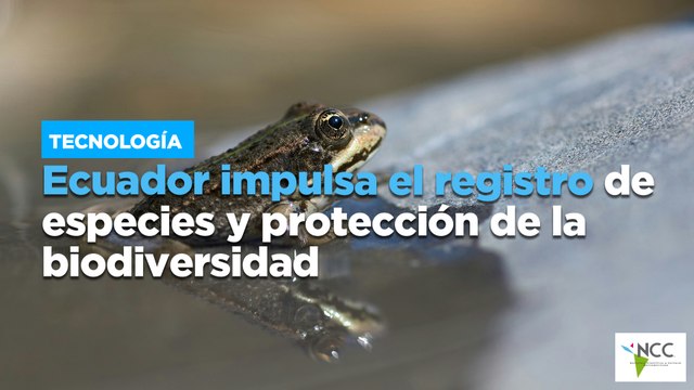 Proyecto en Galápagos revive tortugas y equilibra ecosistemas