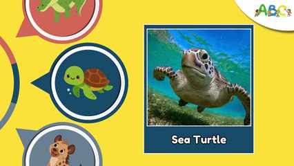 100 Wild Animal Facts for Kids | Learn Animal Names and Facts with 100 Animals for Kids